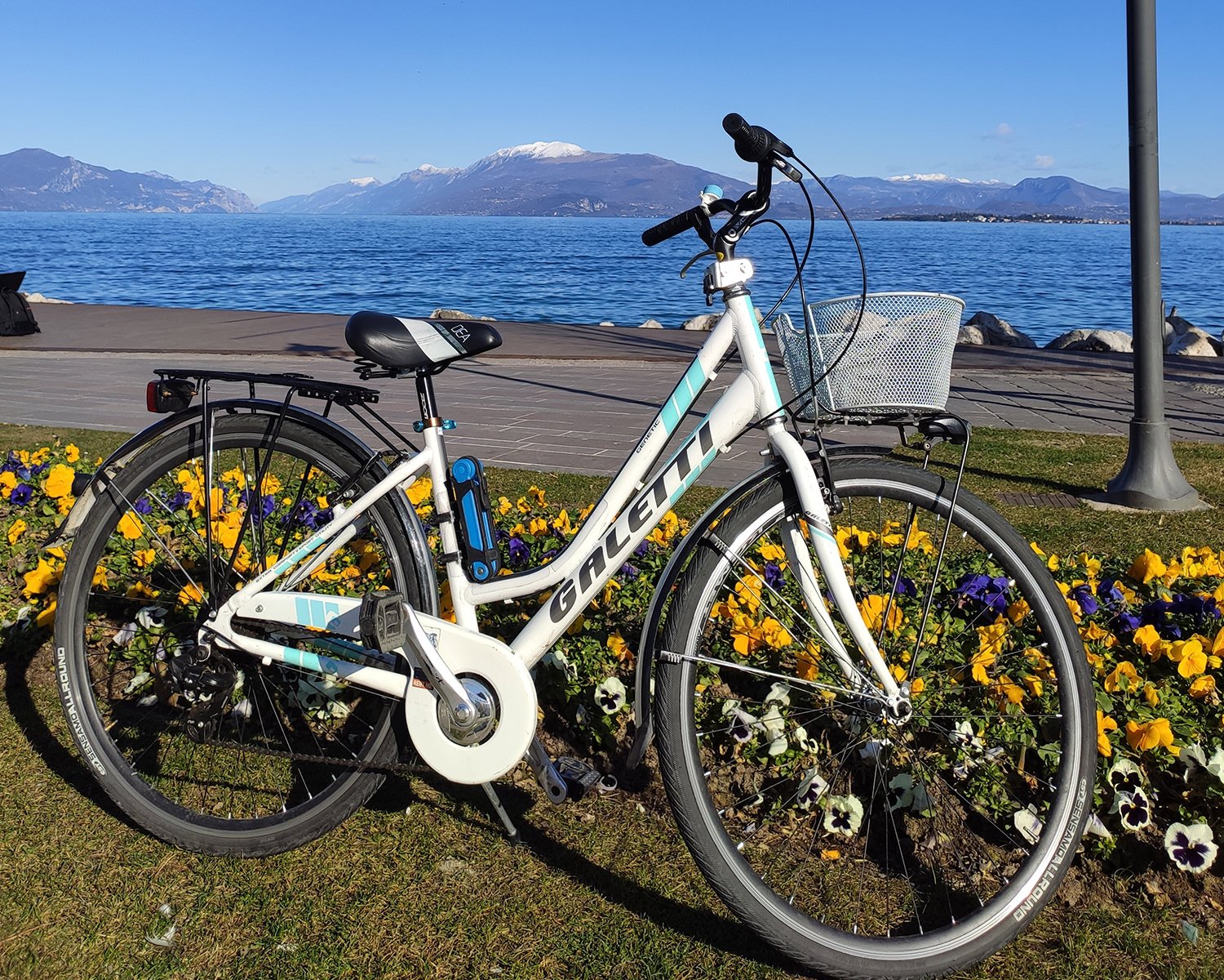 bertanza riparazioni biciclette desenzano