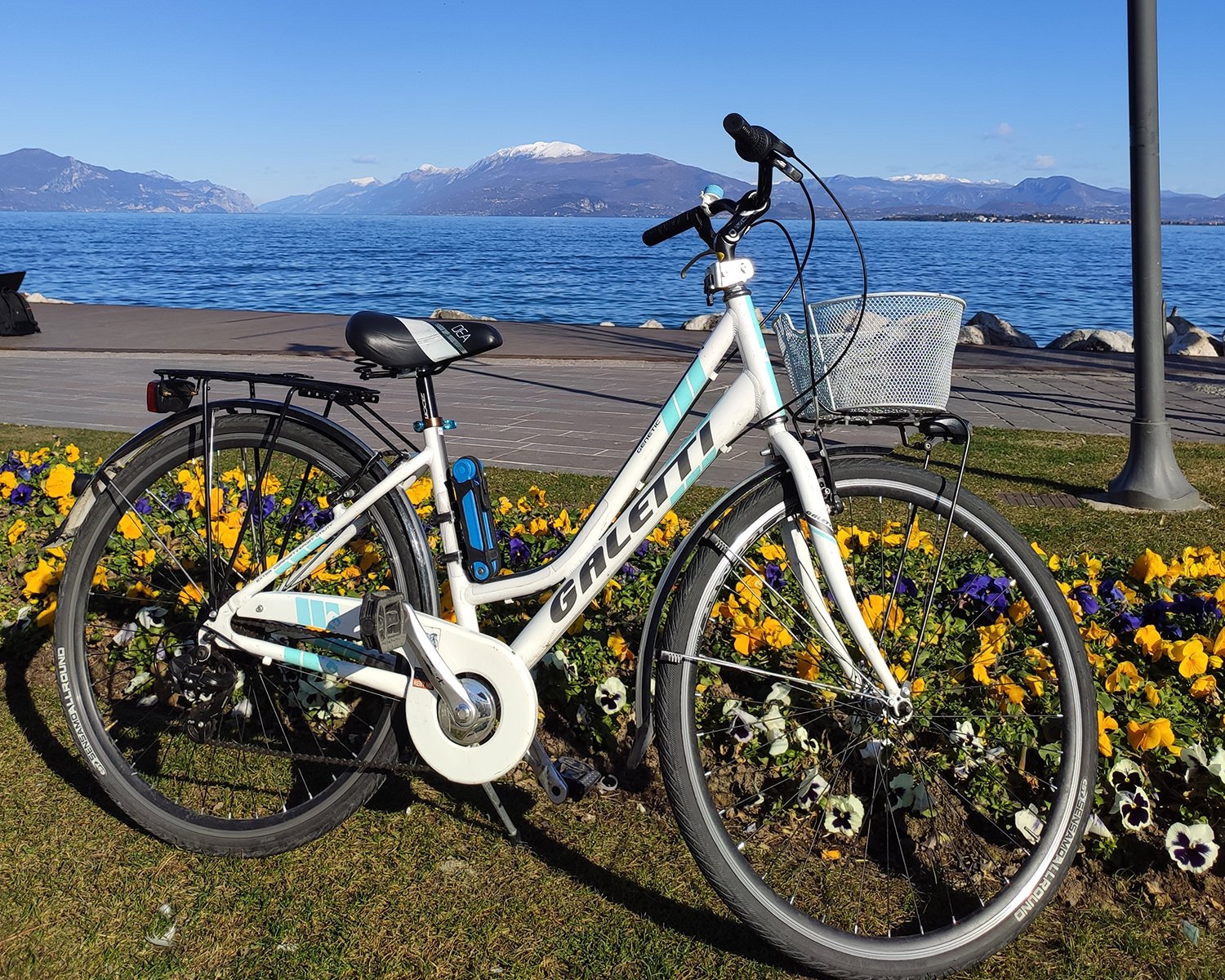 bertanza riparazioni biciclette desenzano